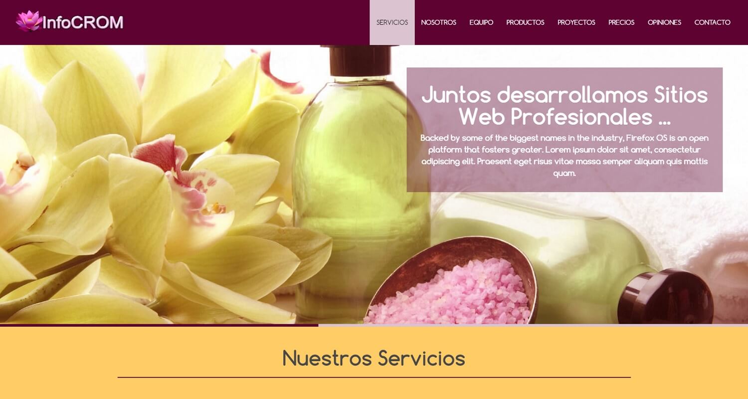 Sitio Web Funcional