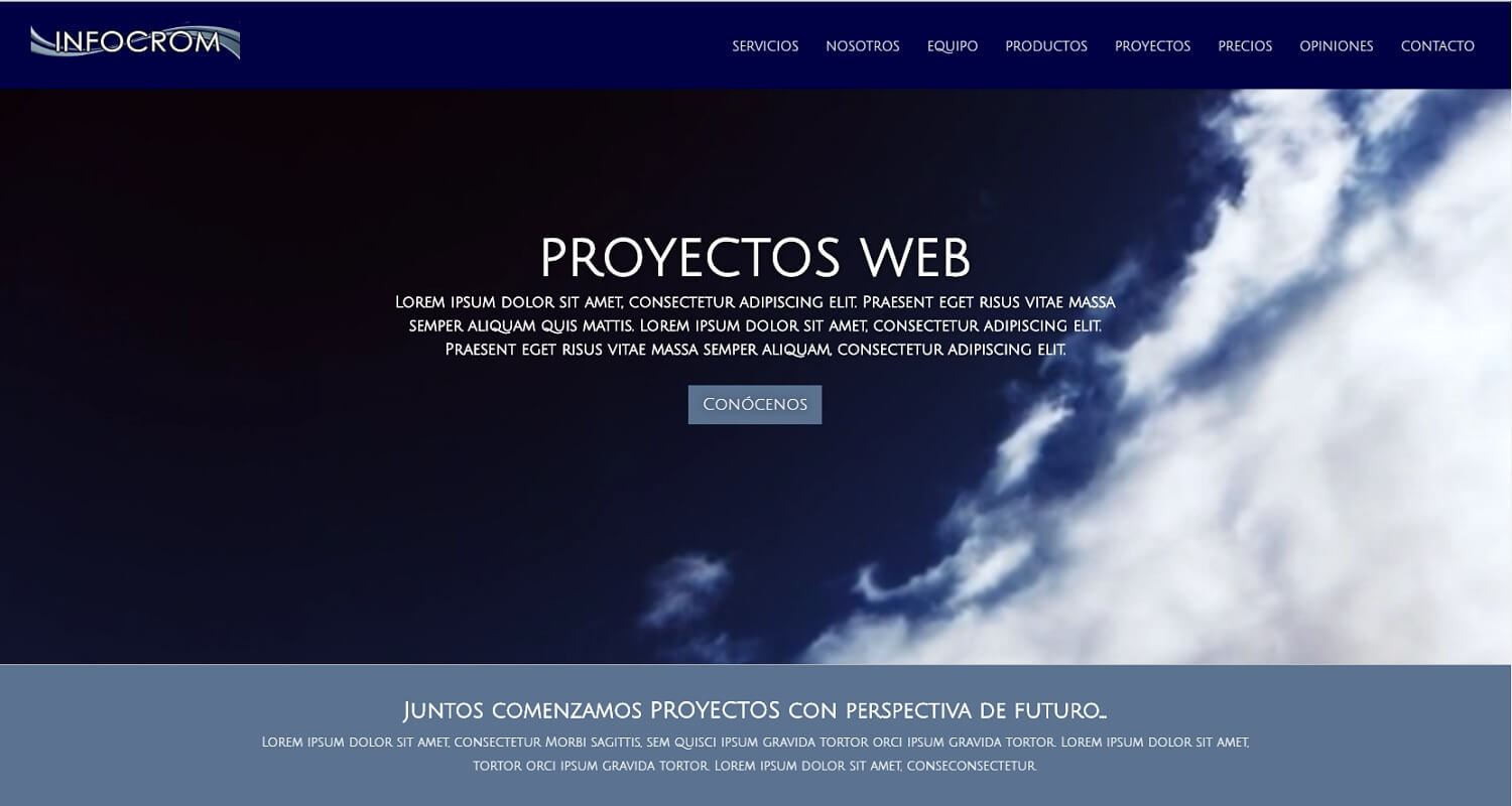 Sitio Web Técnico